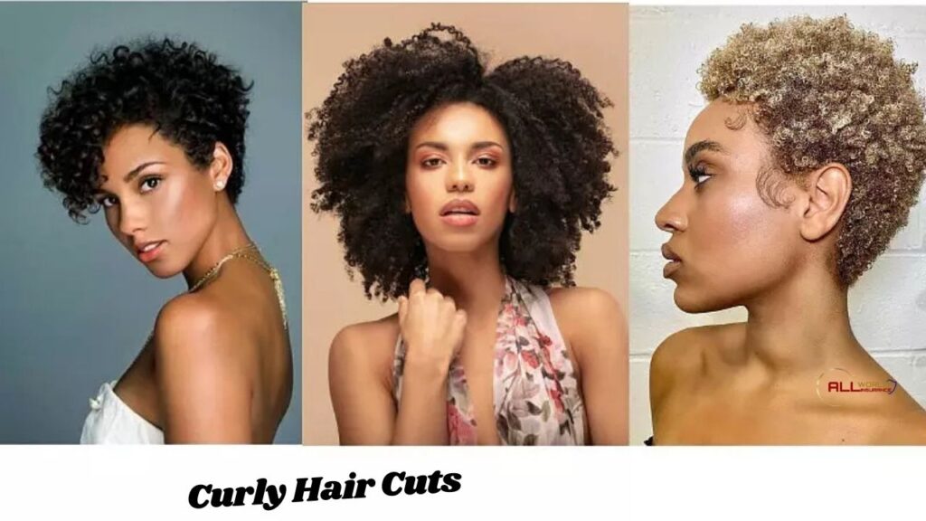 Curly Hair Cuts for Short, Medium, and Long Hair 2025