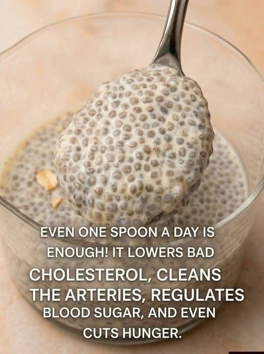 Creamy Homemade Chia Seed Pudding – Easy Healthy Breakfast Recipe
