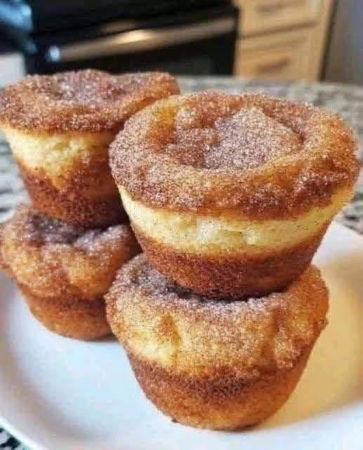 Cinnamon Sugar Muffin Bites