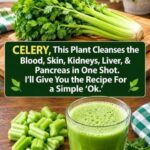 Easy Celery Juice Recipe With a Blender or Juicer