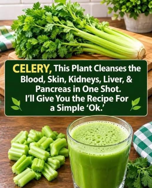 Easy Celery Juice Recipe With a Blender or Juicer