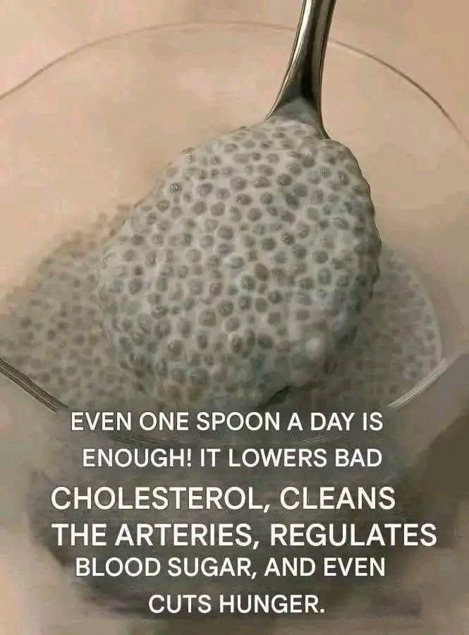 Chia Seed Pudding